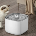 Pet Water Fountain Self-Circulating Ultra-Quiet 3L