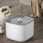 Pet Water Fountain Ultra-Quiet Filtered 3L
