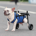 Pet Wheelchair Hind Leg Support Adjustable Fit & Secure Bracket