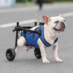 Pet Wheelchair Hind Leg Support Adjustable Fit & Secure Bracket