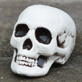 Phone Stand Realistic Skull Universal Fit