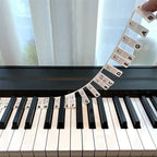 Piano & Keyboard Note Labels Reusable Silicone Double Staff