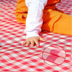 Picnic Blanket Foldable Quick-Drying & Water-Repellent