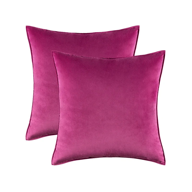 Pillow Cover Plush Velvet Knife-Edge Seam & Hidden Zipper