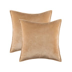 Pillow Cover Plush Velvet Knife-Edge Seam & Hidden Zipper