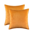 Pillow Cover Plush Velvet Knife-Edge Seam & Hidden Zipper