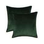 Pillow Cover Plush Velvet Knife-Edge Seam & Hidden Zipper