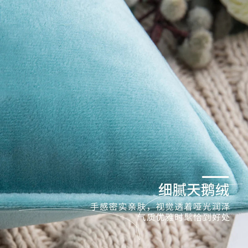 Pillow Cover Plush Velvet Knife-Edge Seam & Hidden Zipper