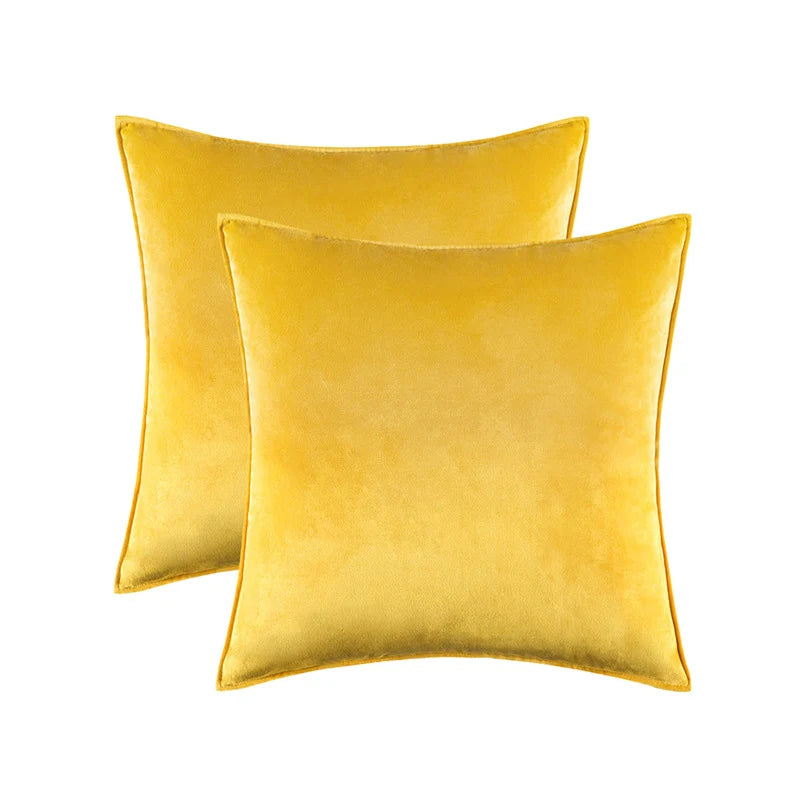 Pillow Cover Plush Velvet Knife-Edge Seam & Hidden Zipper