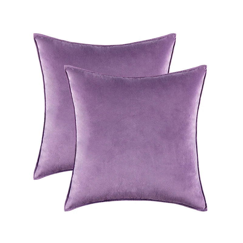 Pillow Cover Plush Velvet Knife-Edge Seam & Hidden Zipper