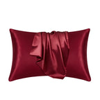 Pillowcase 100% Mulberry Silk Smooth Hypoallergenic Surface