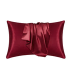 Pillowcase Mulberry Silk 22 Momme Hidden Zipper