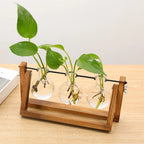 Plant Cutting Stand Wood Base & Glass Tubes
