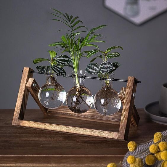 Plant Cutting Stand Wood Base & Glass Tubes