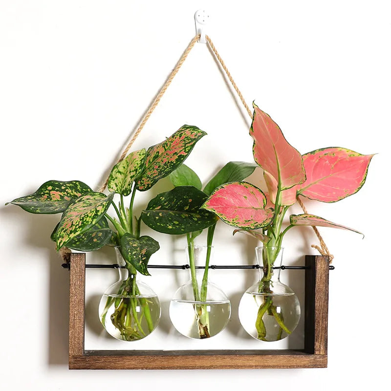 Plant Cutting Stand Wood Base & Glass Tubes