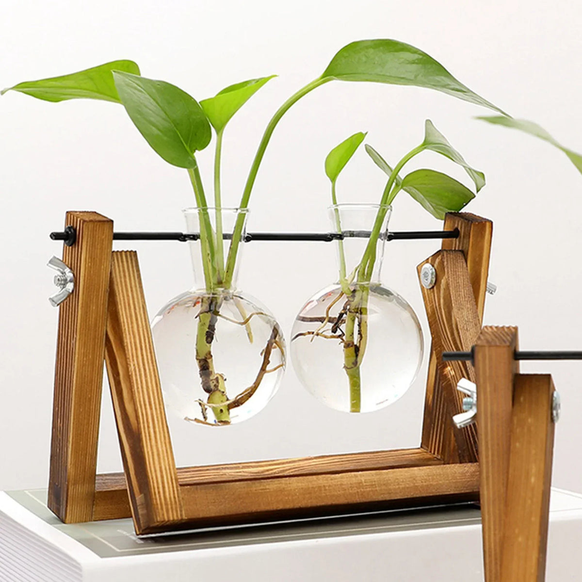 Plant Cutting Stand Wood Base & Glass Tubes