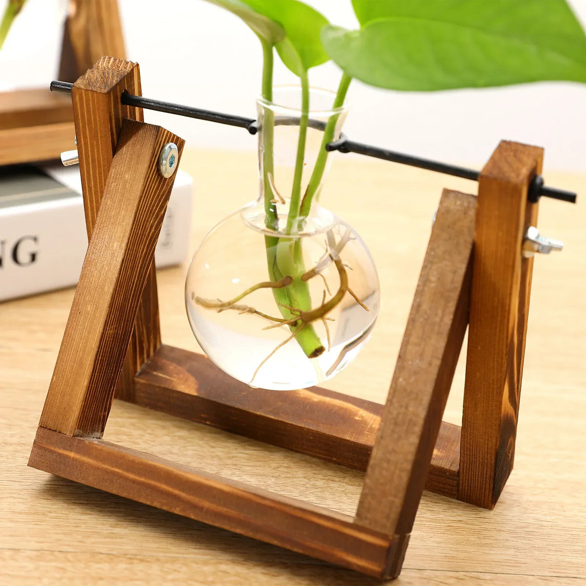 Plant Cutting Stand Wood Base & Glass Tubes