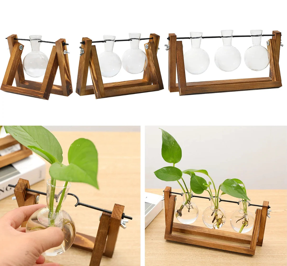 Plant Cutting Stand Wood Base & Glass Tubes