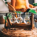 Plant Cutting Stand Wood Base & Glass Tubes