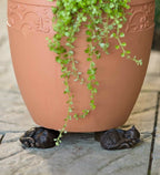 Plant Pot Feet Frost-Resistant Resin Improved Drainage