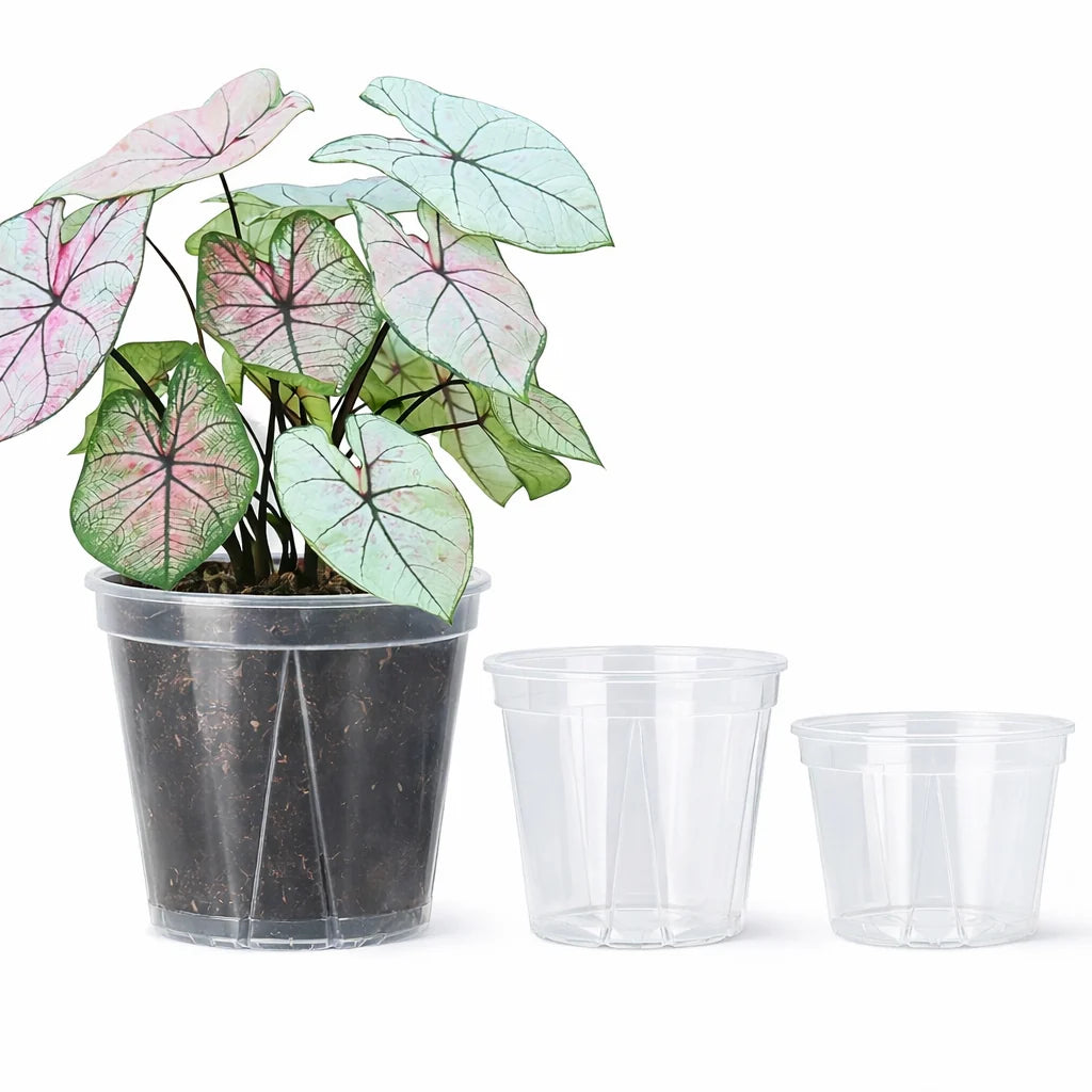 Plant Pot Set Clear Plastic Drainage Pack of 12