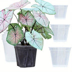 Plant Pot Set Clear Plastic Drainage Pack of 12