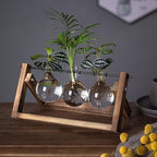 Plant Propagator Wood Frame & Glass Tubes