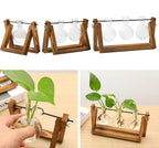 Plant Propagator Wood Frame & Glass Tubes