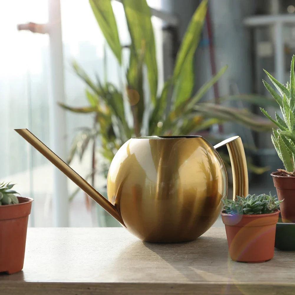 Plant Watering Can Stainless Steel 1.6 Quart