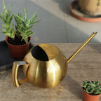 Plant Watering Can Stainless Steel 1.6 Quart