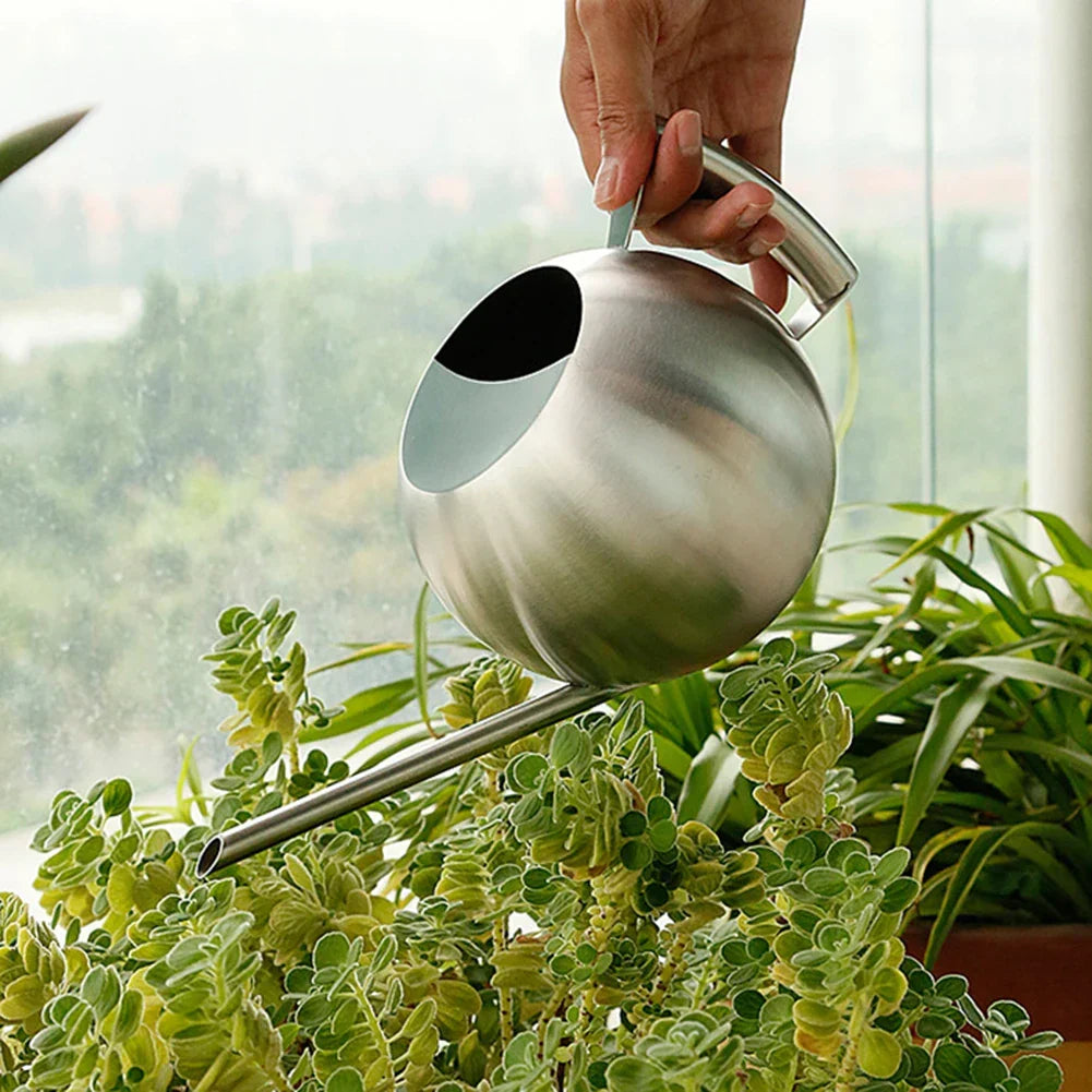 Plant Watering Can Stainless Steel 1.6 Quart