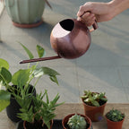 Plant Watering Can Stainless Steel 1.6 Quart