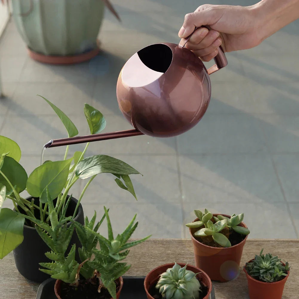 Plant Watering Can Stainless Steel 1.6 Quart