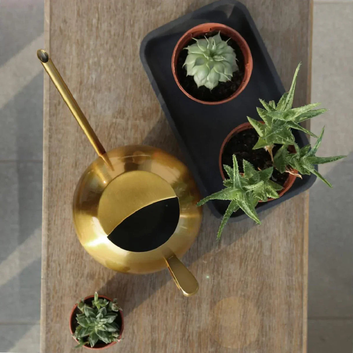 Plant Watering Can Stainless Steel 1.6 Quart