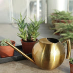 Plant Watering Can Stainless Steel 1.6 Quart