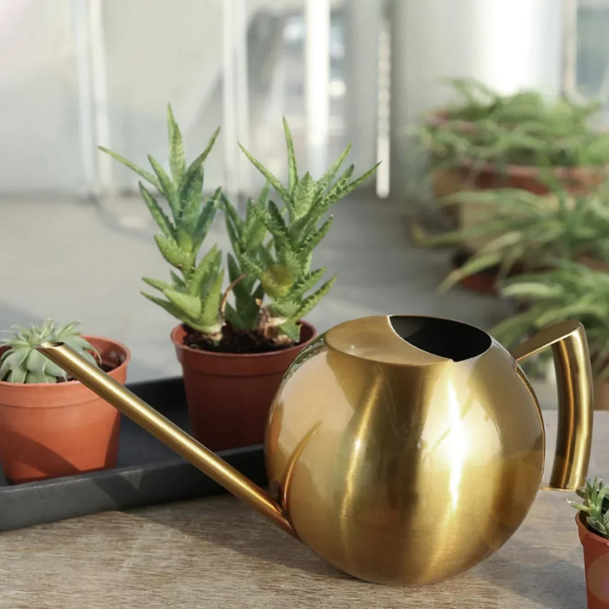 Plant Watering Can Stainless Steel 1.6 Quart