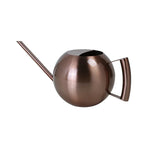 Plant Watering Can Stainless Steel 1.6 Quart