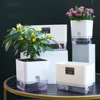 Planter Self-Watering Visible Reservoir & Cotton Cord