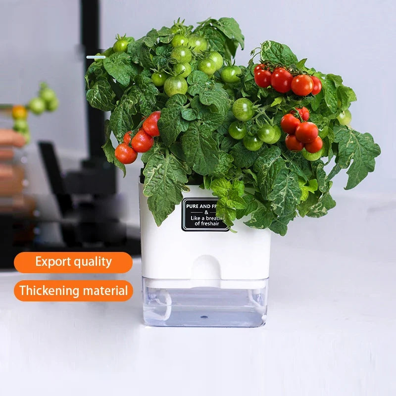 Planter Self-Watering Visible Reservoir & Cotton Cord