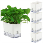 Planter Self-Watering Visible Reservoir & Cotton Cord