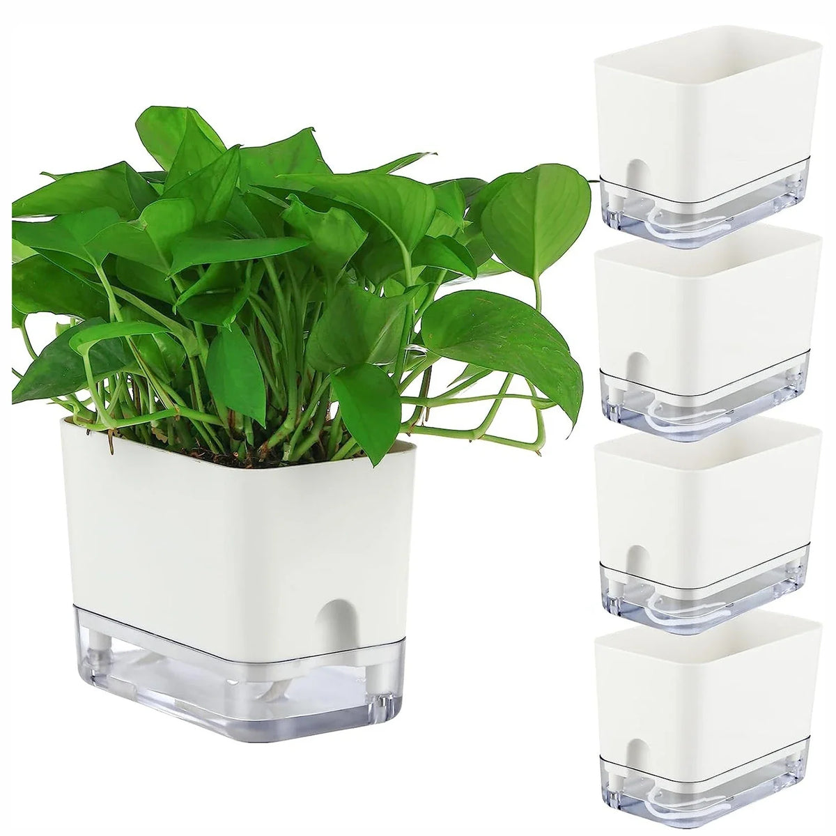 Planter Self-Watering Visible Reservoir & Cotton Cord