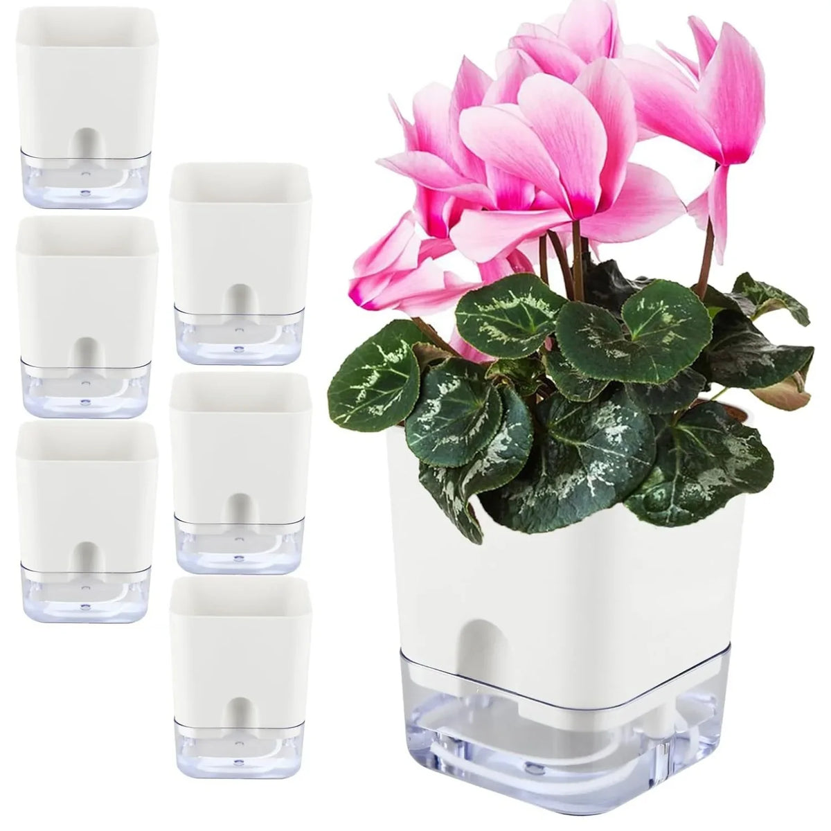 Planter Self-Watering Visible Reservoir & Cotton Cord