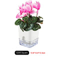 Planter Self-Watering Visible Reservoir & Cotton Cord