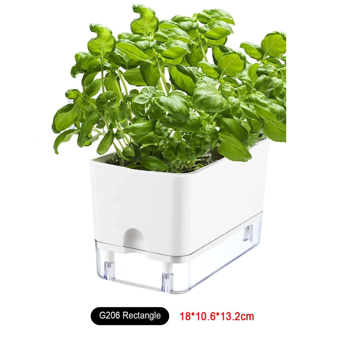 Planter Self-Watering Visible Reservoir & Cotton Cord