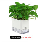 Planter Self-Watering Visible Reservoir & Cotton Cord