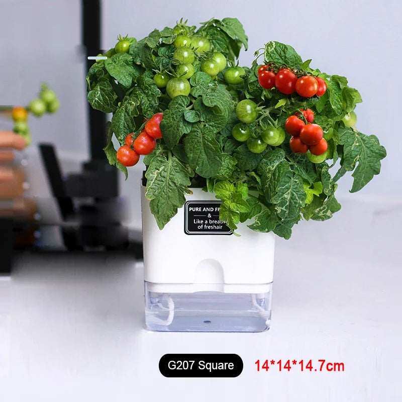 Planter Self-Watering Visible Reservoir & Cotton Cord