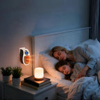 Plug-In Ceramic Heater 350W Adjustable Thermostat & Timer