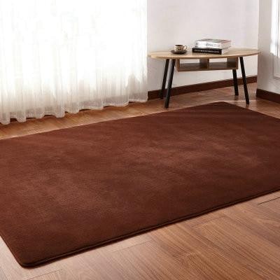 Plush Area Rug Long Pile Cashmere-Like Non-Slip Backing