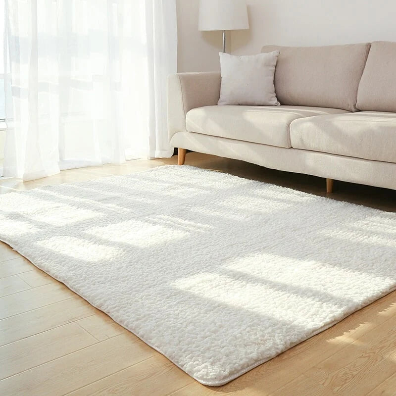 Plush Area Rug Long Pile Cashmere-Like Non-Slip Backing