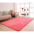 Plush Area Rug Long Pile Cashmere-Like Non-Slip Backing